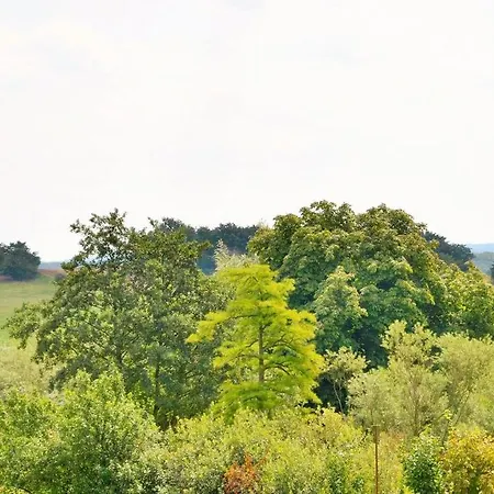 Jagdschloss Zu 1 Eleonore Hohen Niendorf