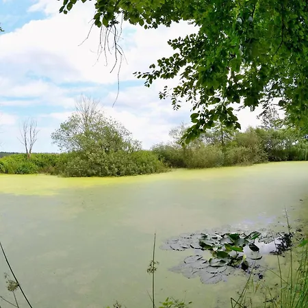 Jagdschloss Zu 1 Eleonore * Hohen Niendorf